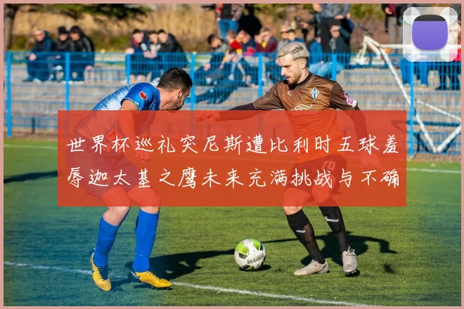 世界杯巡礼突尼斯遭比利时五球羞辱迦太基之鹰未来充满挑战与不确定性