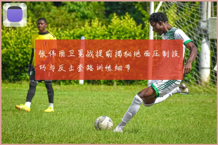 张伟丽卫冕战提前揭秘地面压制技巧与反击套路训练细节