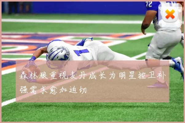 森林狼重视麦丹成长为明星控卫补强需求愈加迫切