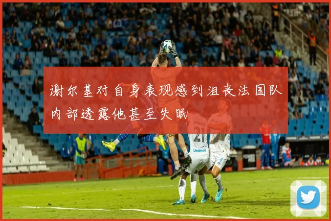 谢尔基对自身表现感到沮丧法国队内部透露他甚至失眠